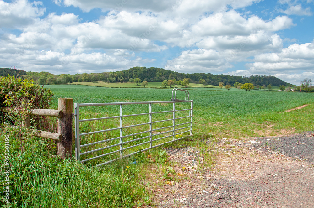 landscape with fence landscape with fence