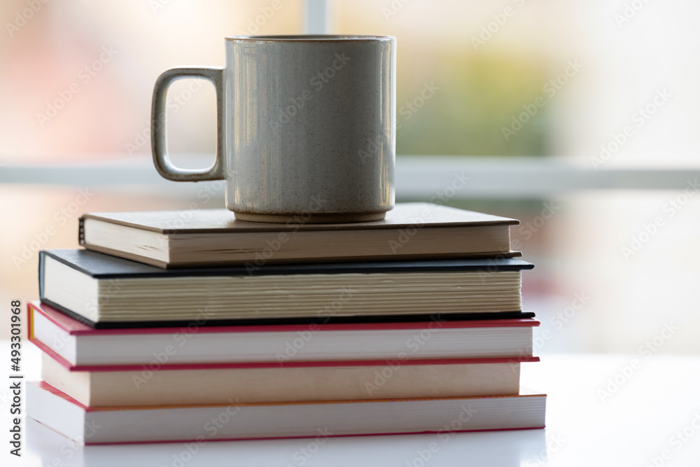 Naklejka premium Stack of books