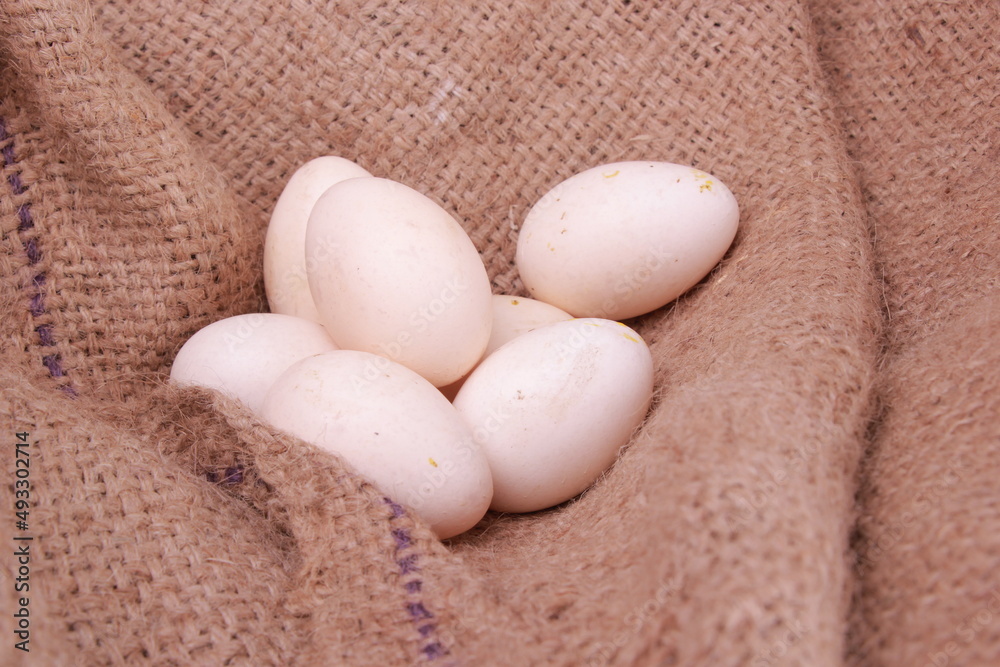 close-up organic rustic white chicken eggs on a bed of natural burlap in a basket, selective focus close-up organic rustic white chicken eggs on a bed of natural burlap in a basket, selective focus