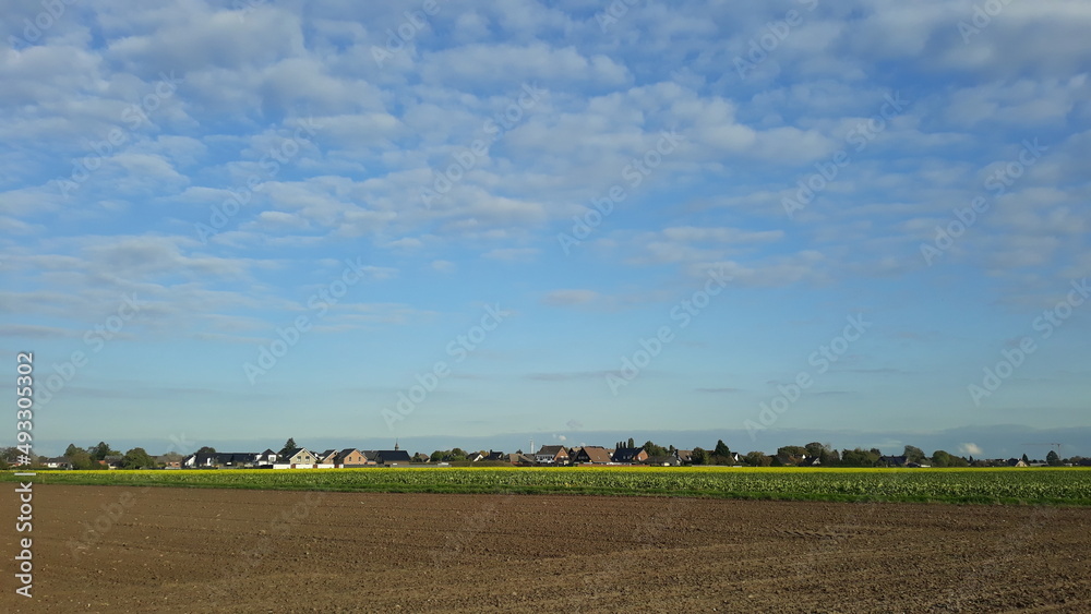 Ackerland in Sicht. Blauer Himmel über dem Weizenfeld. Weiße Wolken sind über den Himmel verstreut. Die Erde wird gepflügt und gesät. Die Siedlung ist in der Ferne zu sehen. Landhäuser Laubwand.