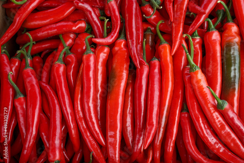 red hot chili peppers  for texture background. sale of spices in the local market.
