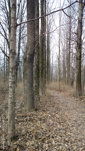 Spring Row
