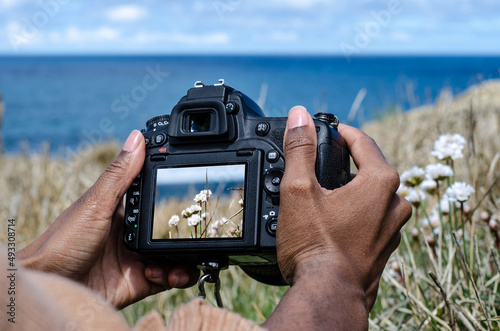 Anonymous female photographing flowers at seaside