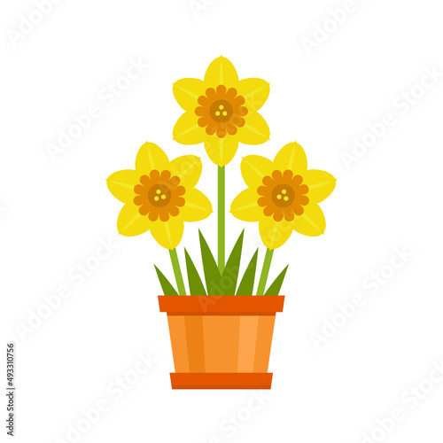 Daffodils in flower pot. Vector icon of yellow spring flowers. Flat illustration.