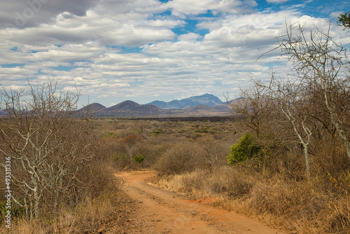 Landscape in Tsavo West National Park with a distant view of the Shetani lava flows.