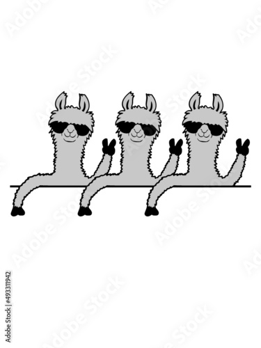 Team Comic Lamas 