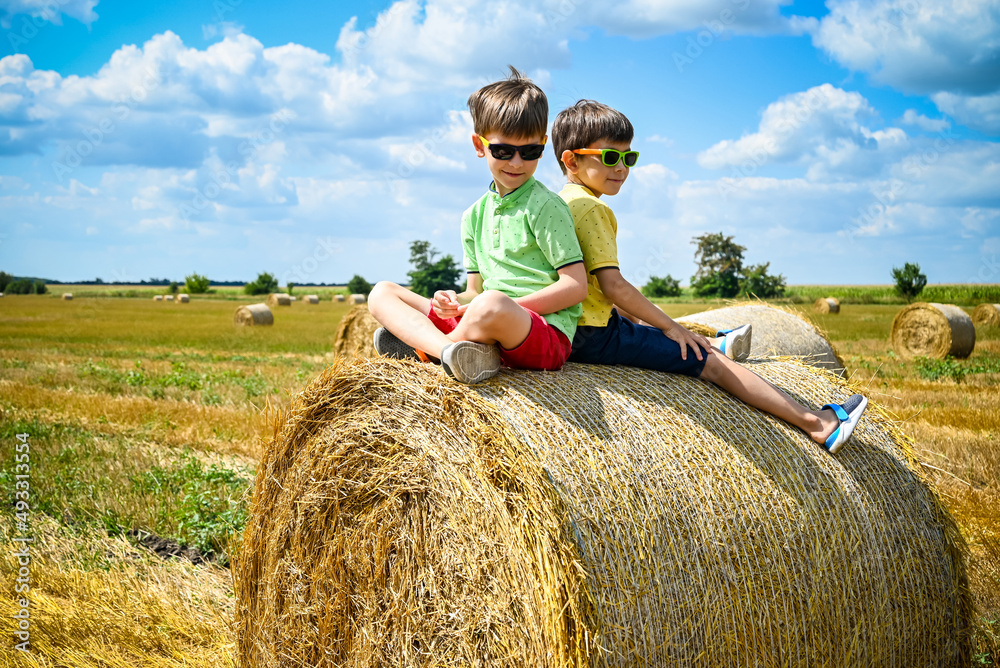 Two little boy stand among round haystack. Field with round bales after harvest under blue sky. Big round bales of straw, sheaves, haystacks Two little boy stand among round haystack. Field with round bales after harvest under blue sky. Big round bales of straw, sheaves, haystacks
