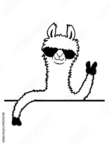 Sonnenbrille Lama Comic 