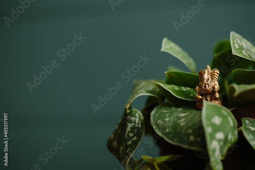 Ganesha in the Foliage