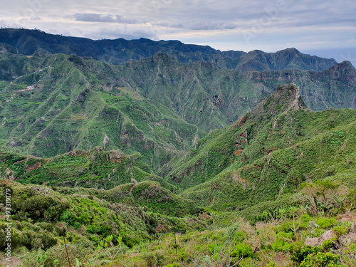 Scenic green nature park in a volcanic island