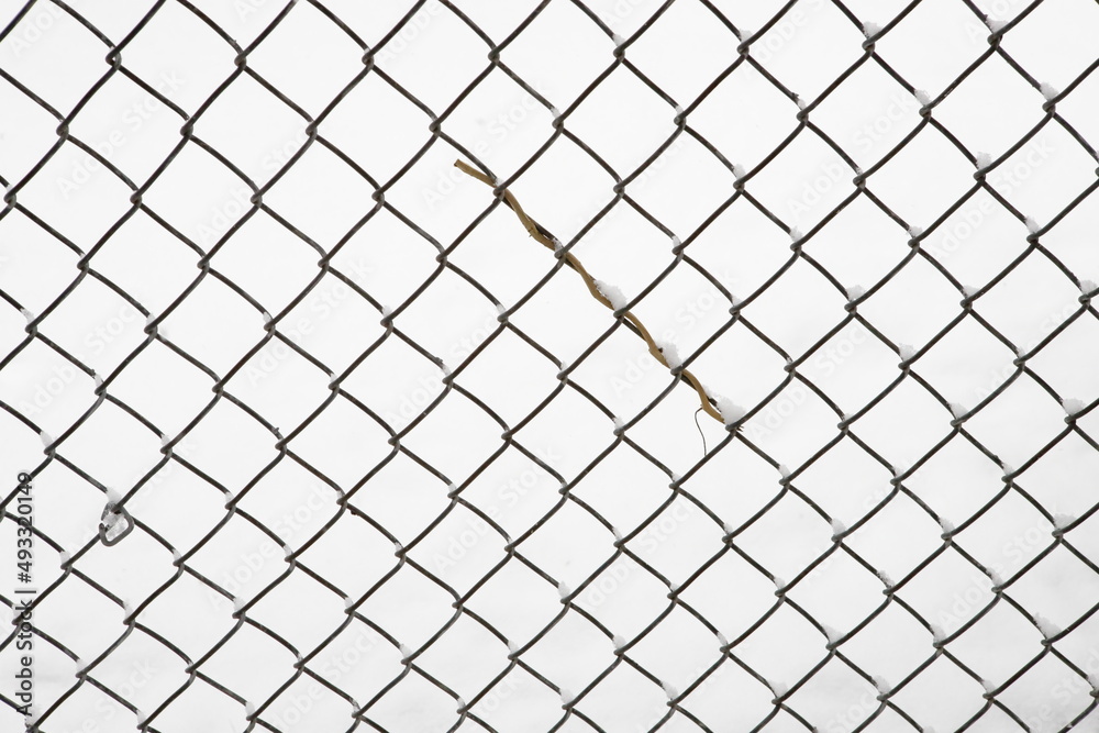 Twig on a chain link fence with snow background in wintertime close up Twig on a chain link fence with snow background in wintertime close up