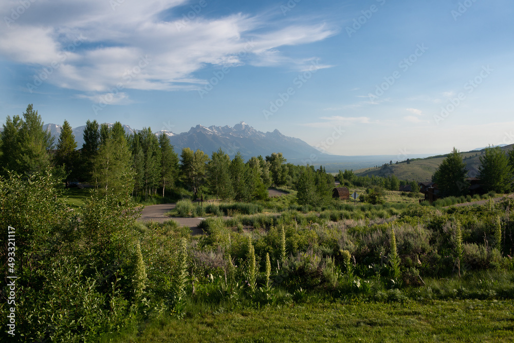 Wyoming Grand Teton Mountain Range in Summer 