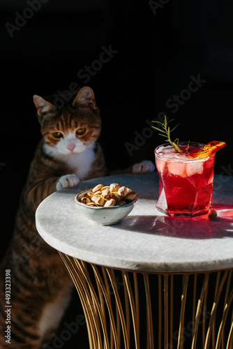 Sloe gin cocktail