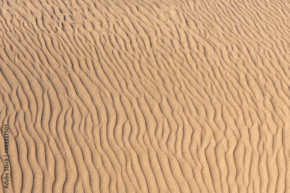 Namibia, the Namib desert, graphic landscape of yellow dunes, background
Namibia, the Namib desert, graphic landscape of yellow dunes, background