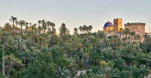 panoramic view of the Palmeral of Elche and view of the Altamira castle and the blue dome of the Santa María basilica, located in the Valencian Community, Alicante, Elche, Spain photo
