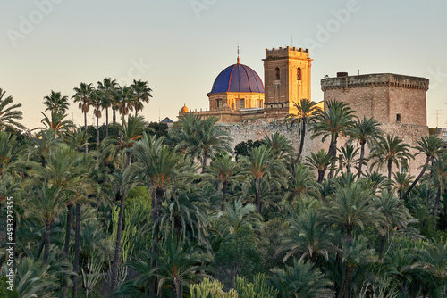 View of the Palmeral of Elche and view of the Altamira castle and the blue dome of the Santa María basilica, located in the Valencian Community, Alicante, Elche, Spain photo