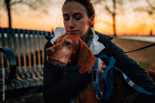 A woman hugs a dog in the park photo