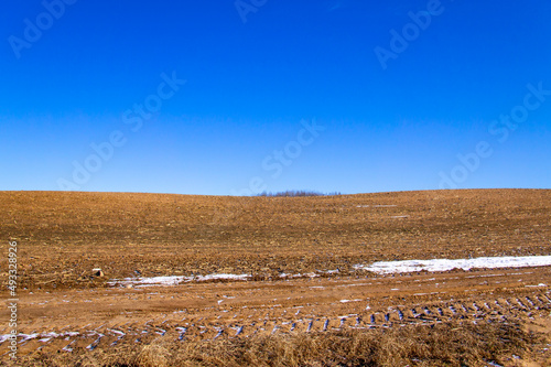 Spring landscape with empty fields and meadows for background. Agricultural industry