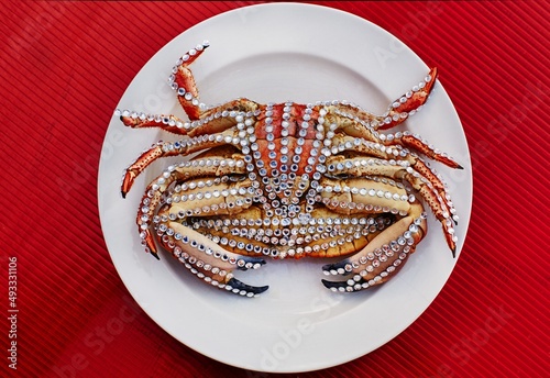 Luxury crab