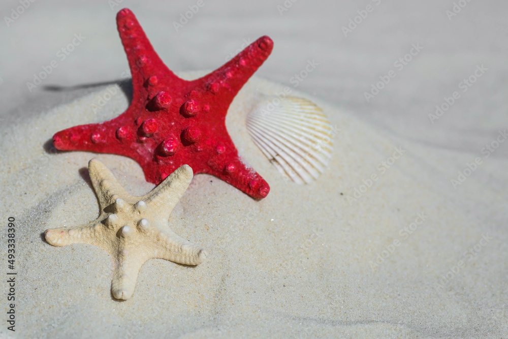 The concept of a holiday at the sea. Shells, stars, a straw hat on the white sand. Background for summer holidays with space for text. Top view. The concept of a holiday at the sea. Shells, stars, a straw hat on the white sand. Background for summer holidays with space for text. Top view.