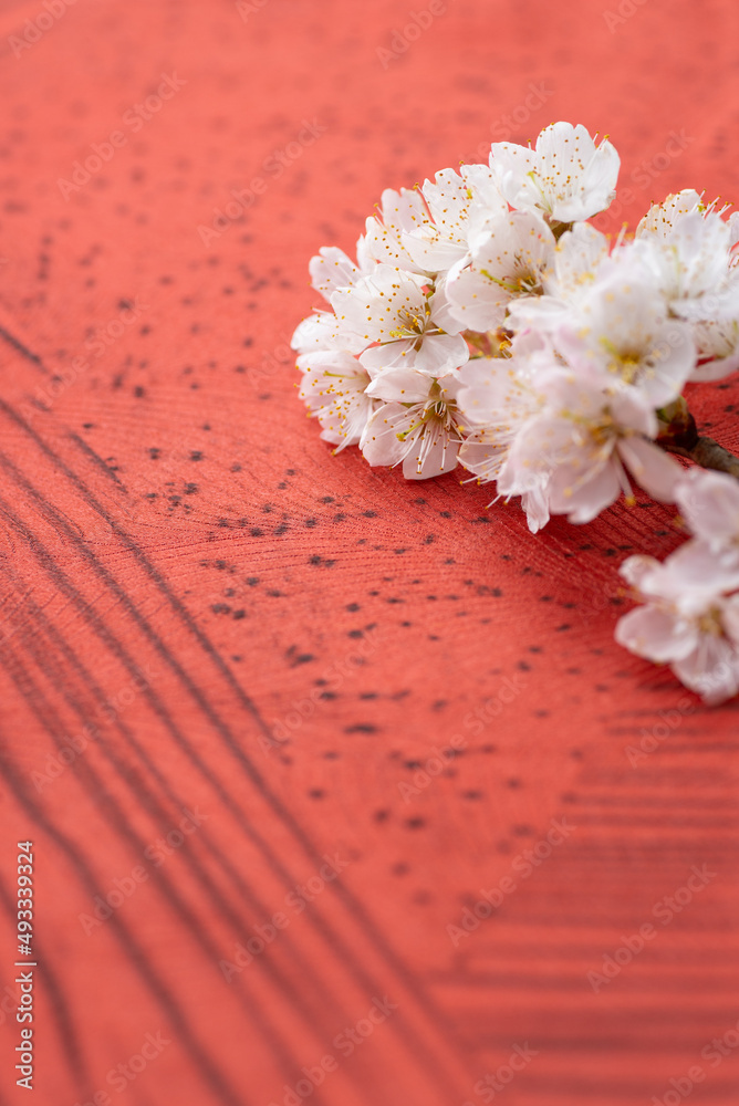 赤い背景と桜の花 赤い背景と桜の花