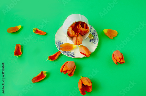 An old fashionned white cup filled with orange tulips and petals against green background. Romantic concept for spring advertisement or fashion banner. Top view photo