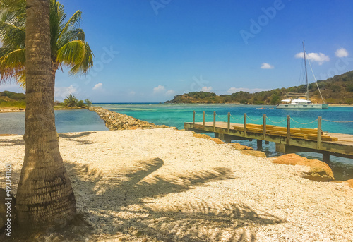 Palm tree shading the sand on a Caribbean beach with a catamaran boat in the background in turquoise water.