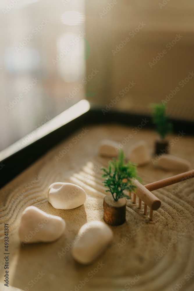 Zen Garden Against The Window Zen Garden Against The Window