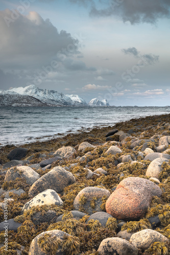 The majesty of Senja. Artic Circle. Norway