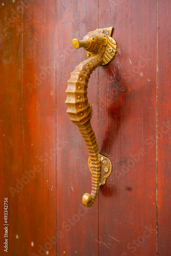 Door With A Metallic Handle Seahorse. photo