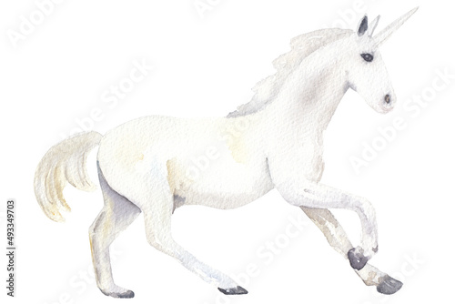 Watercolor hand drawn white unicorn isolated on white. 