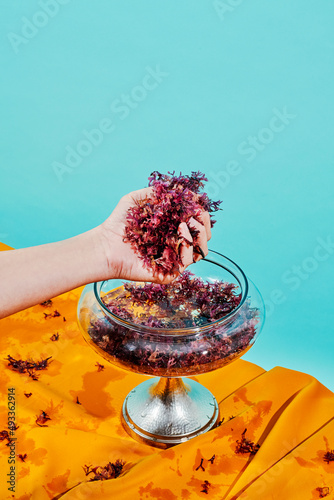 man with a bunch of wet irish moss in his hand photo