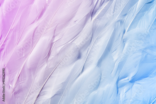 Wallpaper Mural Seamless pattern of feathers with ombre effect Torontodigital.ca