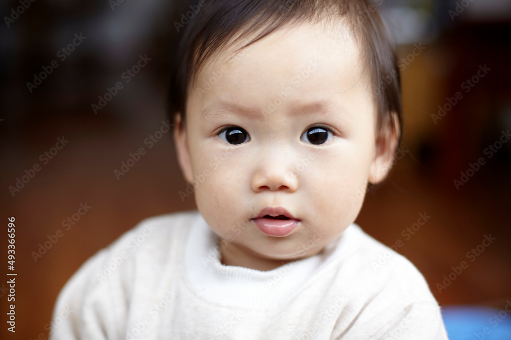 Closeup portrait of little cute asian baby
Closeup portrait of little cute asian baby