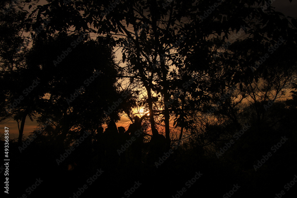 View from Sikunir hill, in the Dieng Plateau, sunset behind the trees. View from Sikunir hill, in the Dieng Plateau, sunset behind the trees.