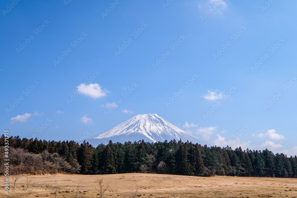 Obraz premium 静岡県富士宮市朝霧高原からの富士山