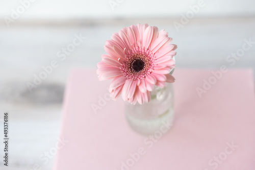 Pink flower on pink paper