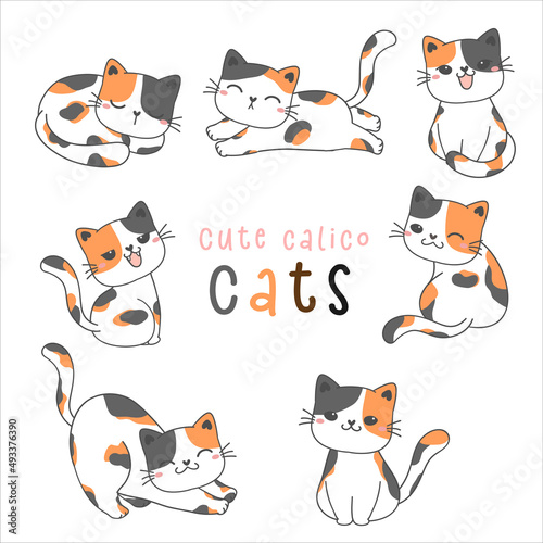 group of cute playful calico kitty cat drawing illustration, tricolor cats vector photo
