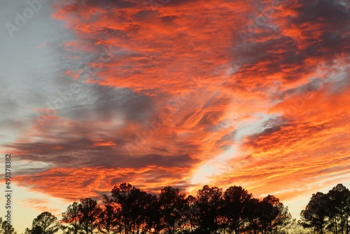 Beautiful fiery orange sunset in the sky in North Florida nature © natalya2015