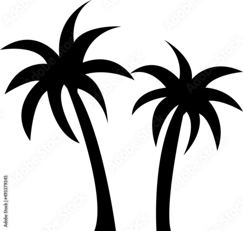 vector palm tree illustration on white background..eps