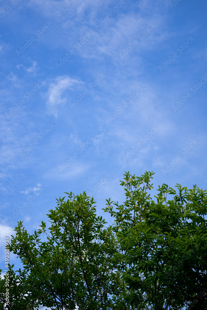 Obraz premium disaster area