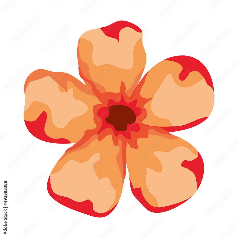 orange flower spring orange flower spring