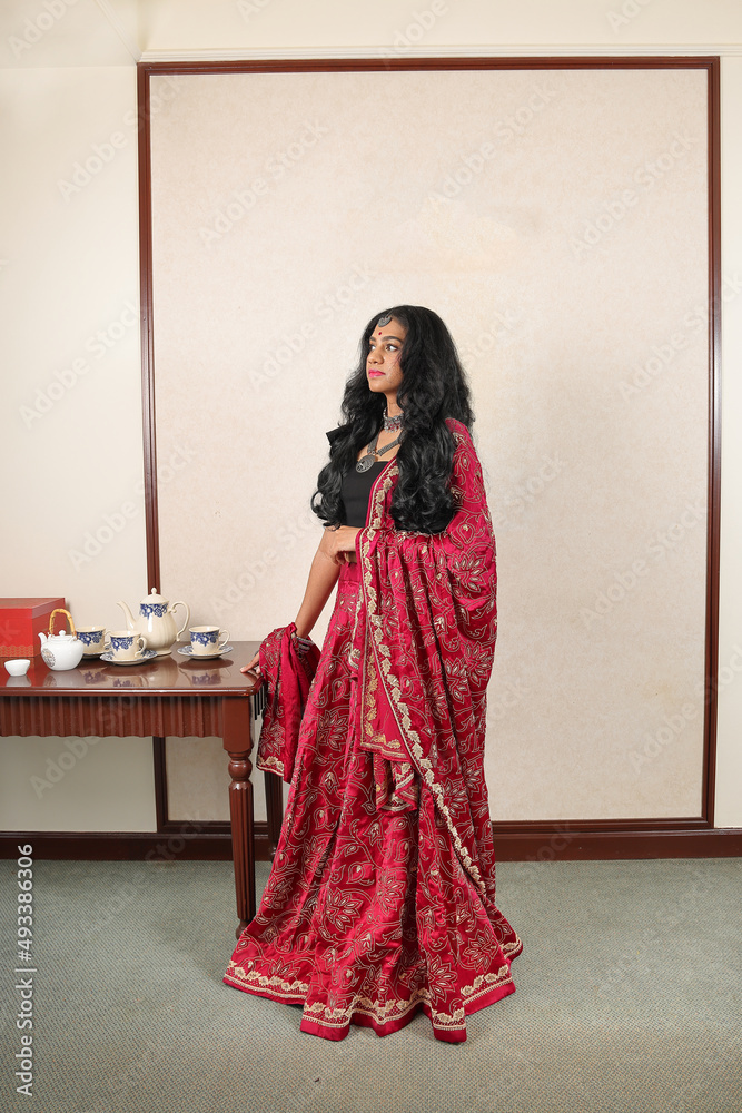Beautiful young woman wearing Indian lehenga hgagra ankle length skirt dress posing home retro vintage