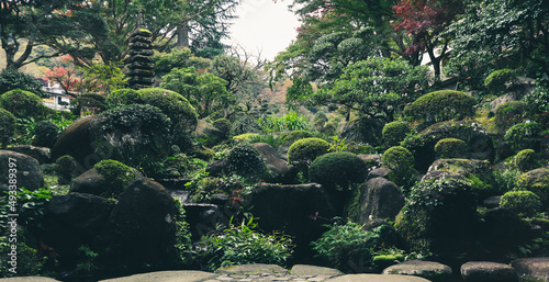 Beautiful garden in Hakone, Japan photo