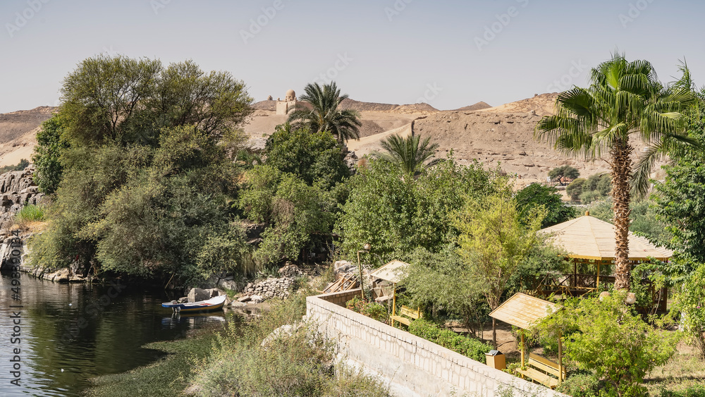 Green trees and palms grow on the banks of the Nile. Duckweed on the water. A wooden boat is tied to rocks. A sand dune against the sky. Egypt. Aswan