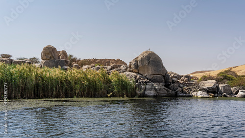 Green reeds grow on the banks of the Nile. Picturesque boulders and sand dunes against the blue sky. Duckweed is visible on the water. Egypt