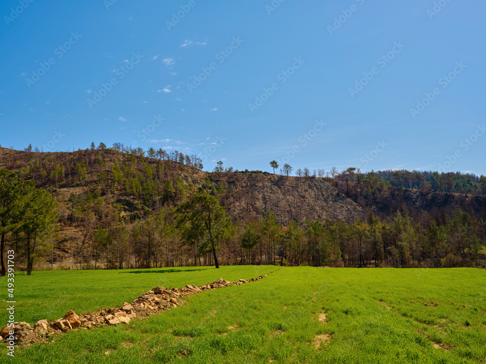 Fototapeta premium peaceful landscape in a rural place