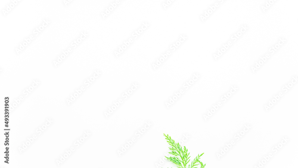 Creative layout of colorful tropical leaves on a white background. Minimal Christmas novelty concept with copy space in Phuket Thailand.