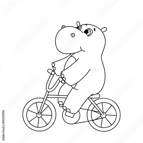 Hand drawn line cute hippo on bicycle vector illustration. Outline hippopotamus isolated on white background. Cute baby character for coloring book, postcards and invitations