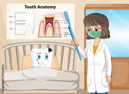 Infographic of human in tooth anatomy at clinic